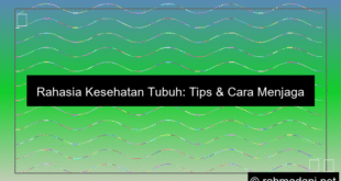 ilustrasi kesehatan tubuh